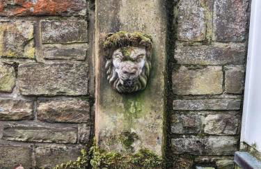 Ferienhaus Wintergarten für 8 Gäste und 2 Hunde in der Eifel mit toller Aussicht, Kamin und Garten - Foto 14
