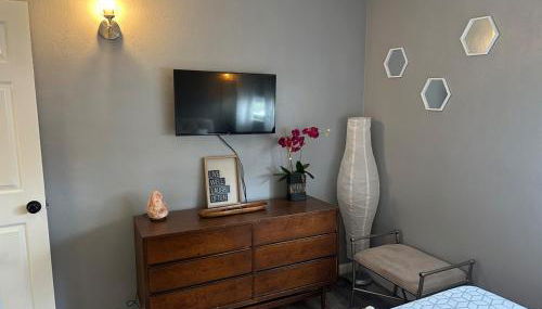 Blue Cypress - Foto 5