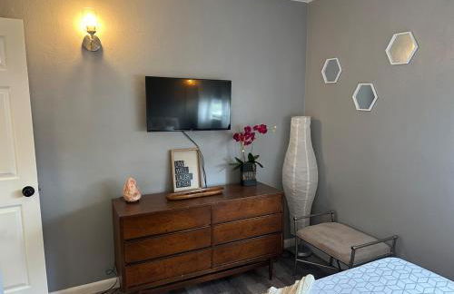 Blue Cypress - Foto 5