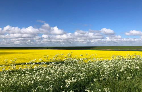 Haus Horizont - Foto 37