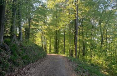 Dicker Stein - Foto 39