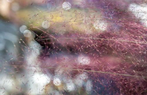 Full Bloom Tree House - Foto 59