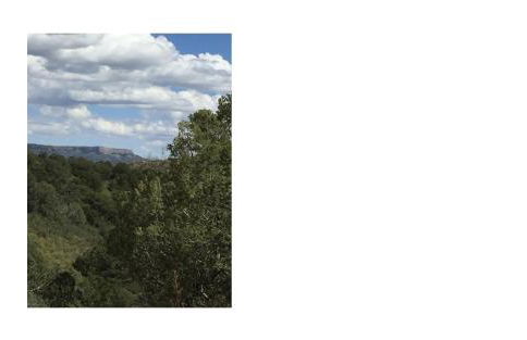 Valentine's Northern New Mexico Mountain Ranch on Colorado Border retreat - Foto 29