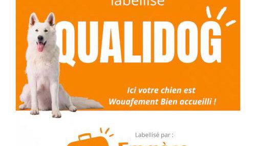 Villa 1950 piscine et spa- Gérardmer - terrain entièrement clos pour animaux - Foto 2