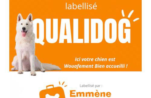 Villa 1950 piscine et spa- Gérardmer - terrain entièrement clos pour animaux - Foto 2