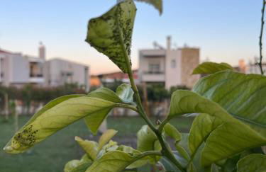 Stbs Luxury, Nea Fokea - Foto 48