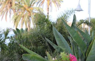 Bella vida en Almunecar - Photo 41