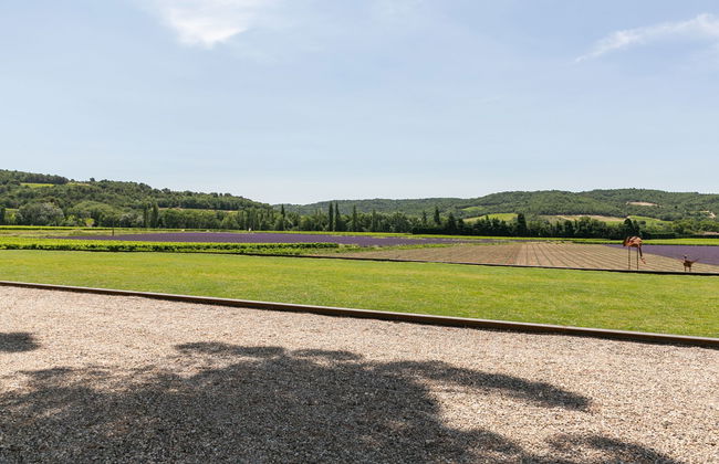 Domaine de Majobert - Foto 15