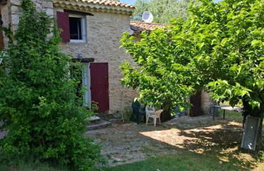 Cabanon provençal en pierre entouré de lavandes - Foto 10
