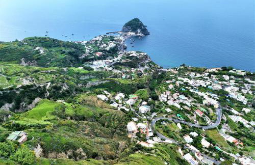 Villa Gesualda - Foto 9