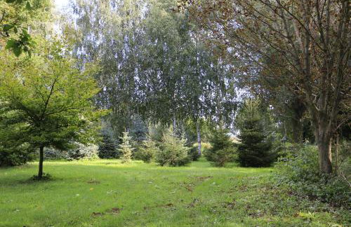 Agroturystyka Żuławiaczek - Foto 45