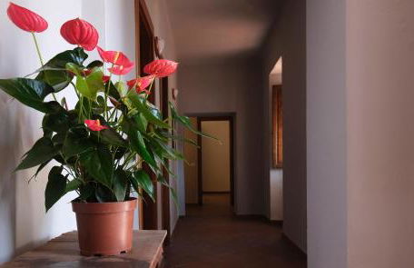 Villa Pini - Foto 42