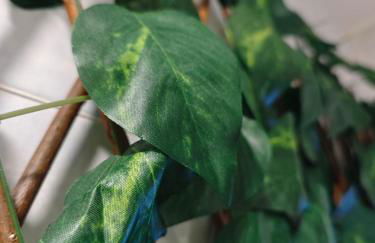 SeaSuites Yellow - Loft cerca del mar en Cullera - Foto 17