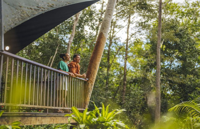 Rose Gums Wilderness Retreat - Foto 36