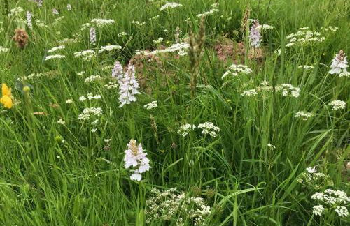 Cosy Stable at Oak Farm - Foto 17