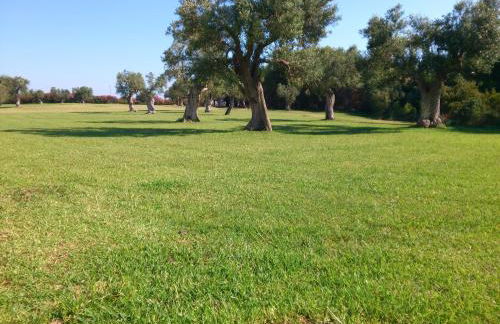 Villetta Porto Selvaggio - Foto 26