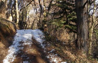 La Roche Pérégrine - Photo 66