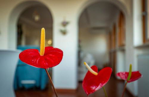 Le terrazze di Dany (attico su Roma) - Foto 9