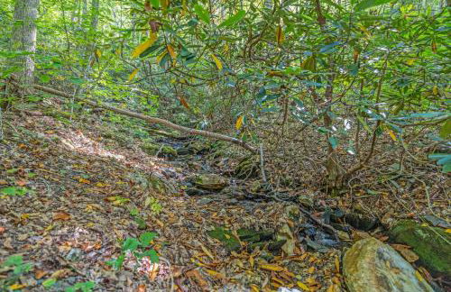 Our Place to Paws 4 Bd Lux Blue Ridge Mnt Cabin - Photo 46