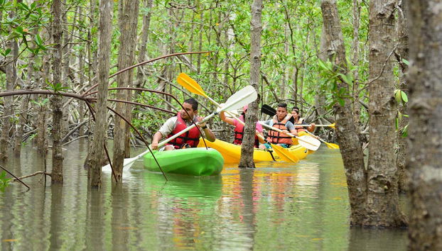 Damas Island Kayak Tour - Foto 2