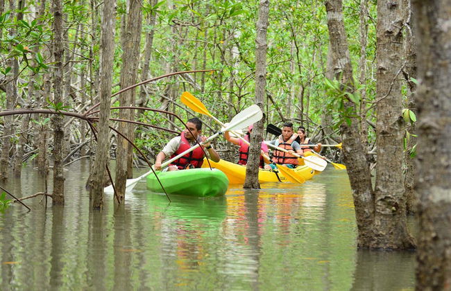 Tour de caiaque por Isla Damas - Foto 2