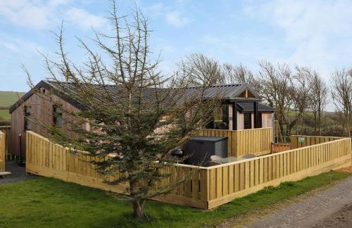 Gwdihŵ - Uk45625 - Foto 21