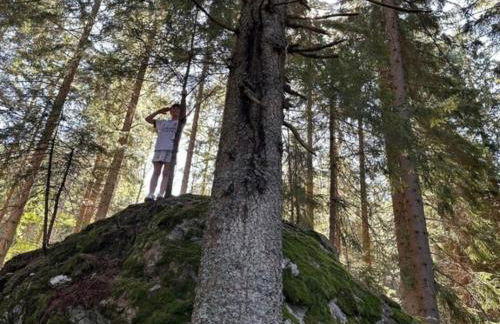Lindners Hideaways - Gutshof Pine Retreat - Sauna - In Villa - Terrasse - Garten mit Rehgehege - Frühstück verfügbar - SKI - Arber - Osser - bis 5 Pers - Photo 35