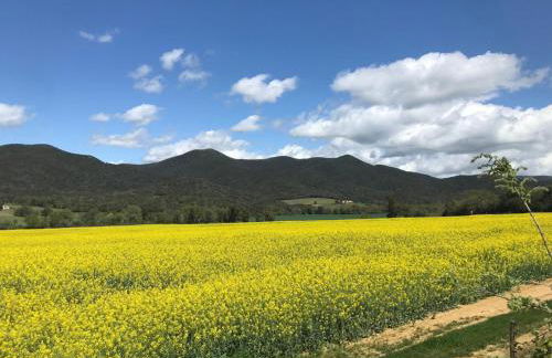 La casa delle stelle - Foto 10