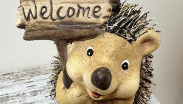 Apartamento Océano VI - Foto 5, Lobby or reception