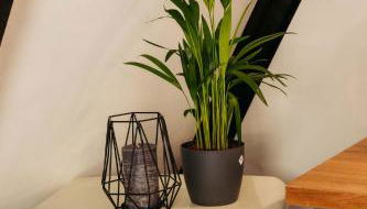 Gemütliches Nurdachhaus im Naturparadies mit Sauna - Erholung pur - Foto 4