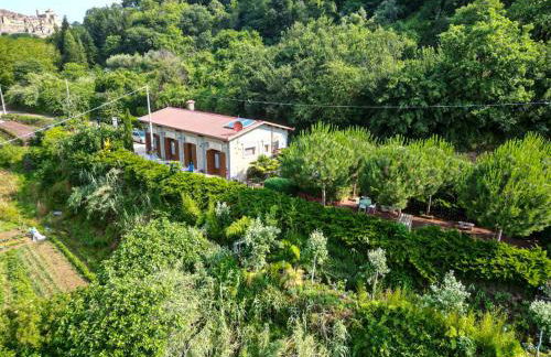 Agriturismo le Fontane - Lago di Bolsena - Foto 11