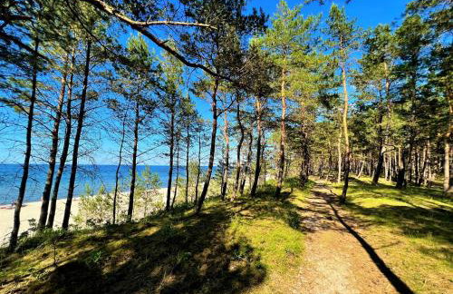 Apartament VIP Sztutolo z basenem - Foto 45