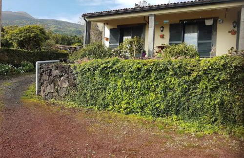 Ocean Melody - Photo 24