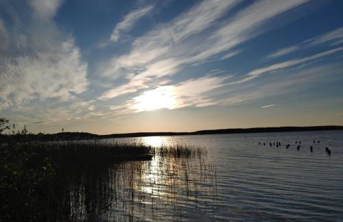 Domek w Borach Tucholskich - Wycinki - Foto 33
