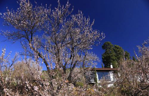 Panorama Suite El Mirador - Foto 5