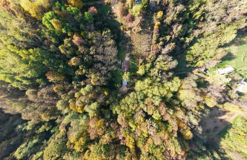 Rokova Dolina - Foto 4