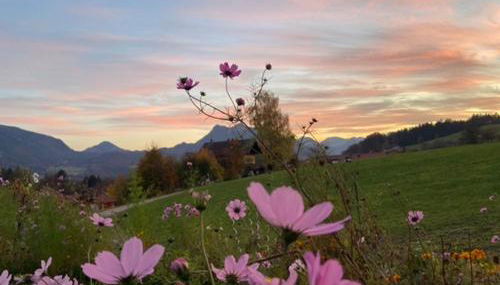 Guesthouse Paradies Samerberg - Foto 4