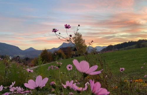 Guesthouse Paradies Samerberg - Foto 4