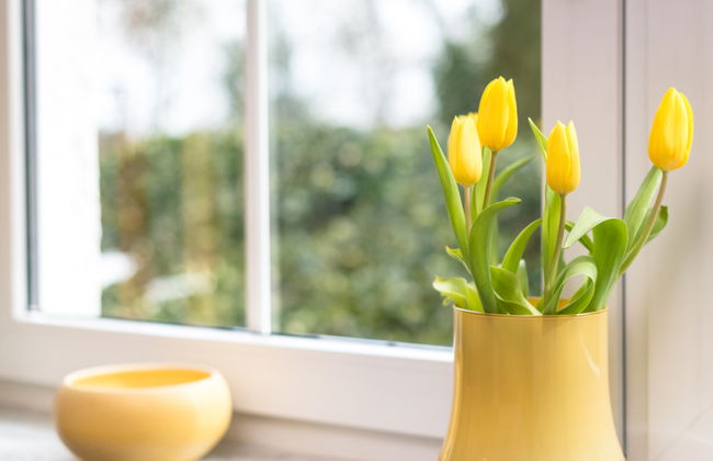 1 bedroom Apartment in Bad Neuenahr-Ahrweiler with garden - Photo 7