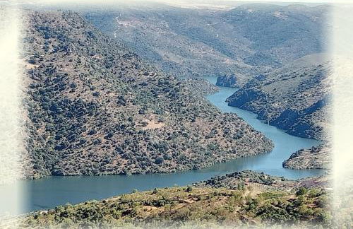 Casa do Rossio - Foto 34