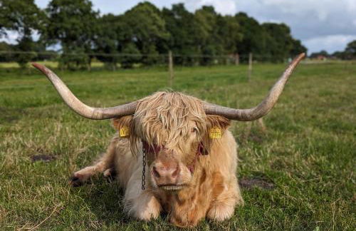 Ferienhof Ekenhoff - Foto 17