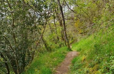 Les mimosas du Lac Vue panoramique sur le lac - Foto 34
