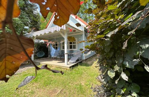 Kwiat Paproci - Foto 55