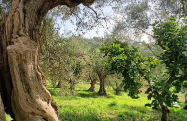 Rustic hillside stone-Rustico in pietra - Foto 25