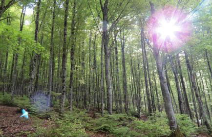 IKUILU Ochagavia-Selva de Irati - Foto 47