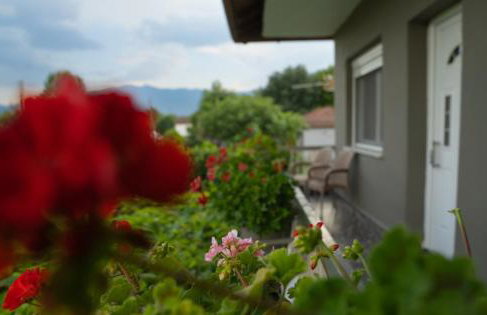 Xrysa's House - Foto 54