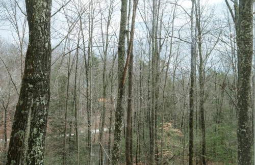 Hot-Tub Wifi Fireplace - Honeysuckle Bridge - Foto 46