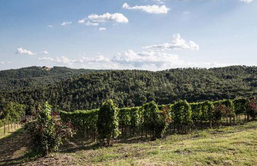 Casa Guaitoli - Foto 31