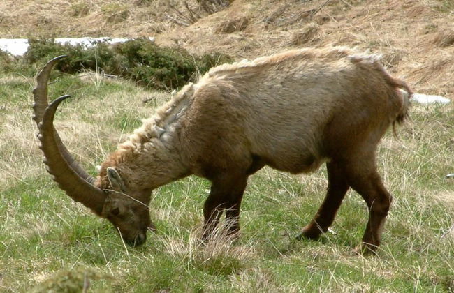 Amici 1. OG West - Foto 54