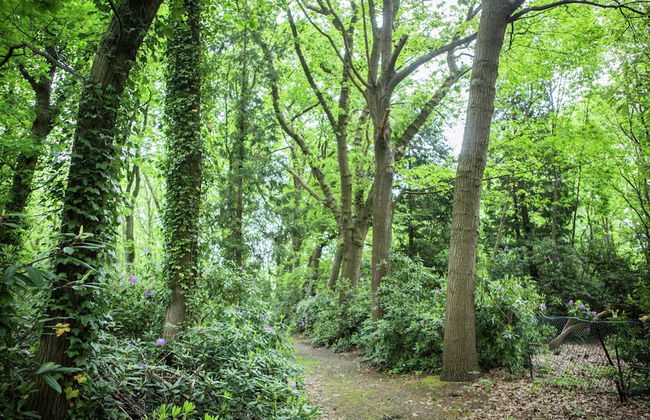 Westmalle Forest Garden Home - Foto 44